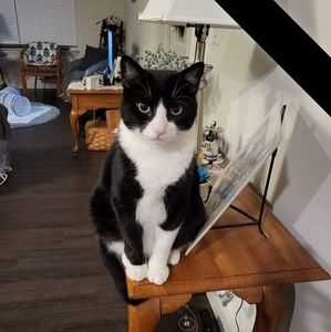 Meet your Posher, Toni